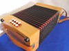 Castagnari Studio D-G button accordion